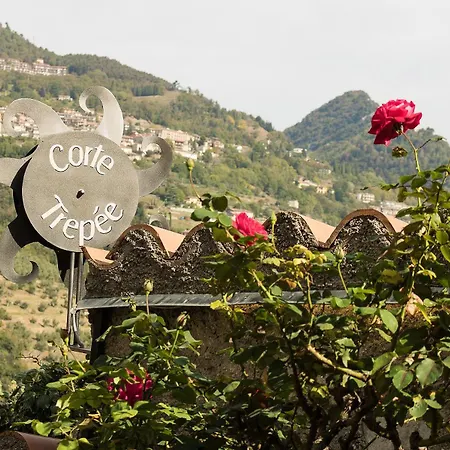 Apartament Corte Trepee